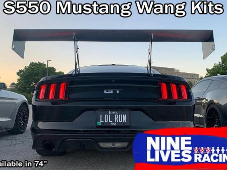 Mustang Big Wang Kit  14+ S550 For Sale