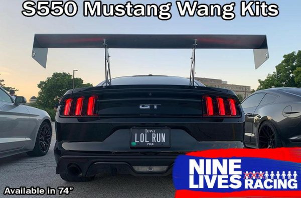 Mustang Big Wang Kit  14+ S550 For Sale